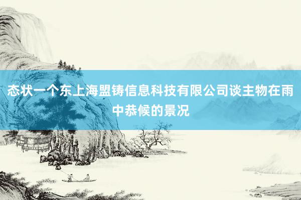 态状一个东上海盟铸信息科技有限公司谈主物在雨中恭候的景况