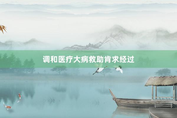 调和医疗大病救助肯求经过