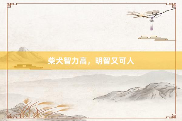 柴犬智力高，明智又可人